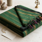 Golden Horizontal Lines in Green Saree