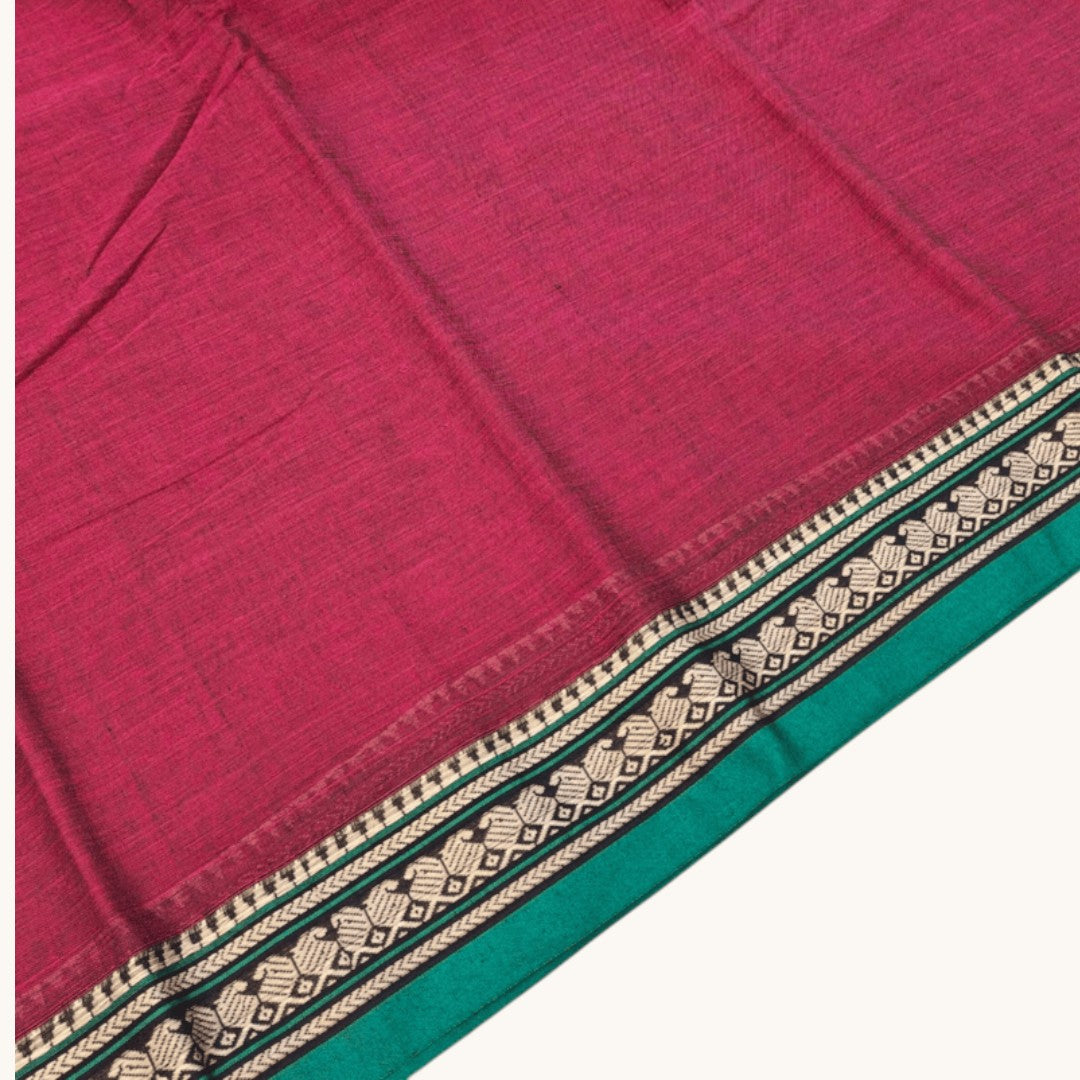 Parrot Small Border