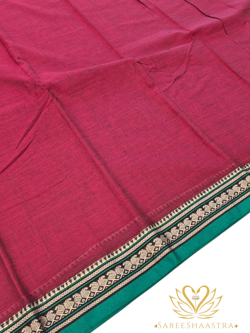Parrot Small Border