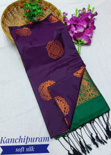 Zari Floral Motif Borderless Semi Silk Saree
