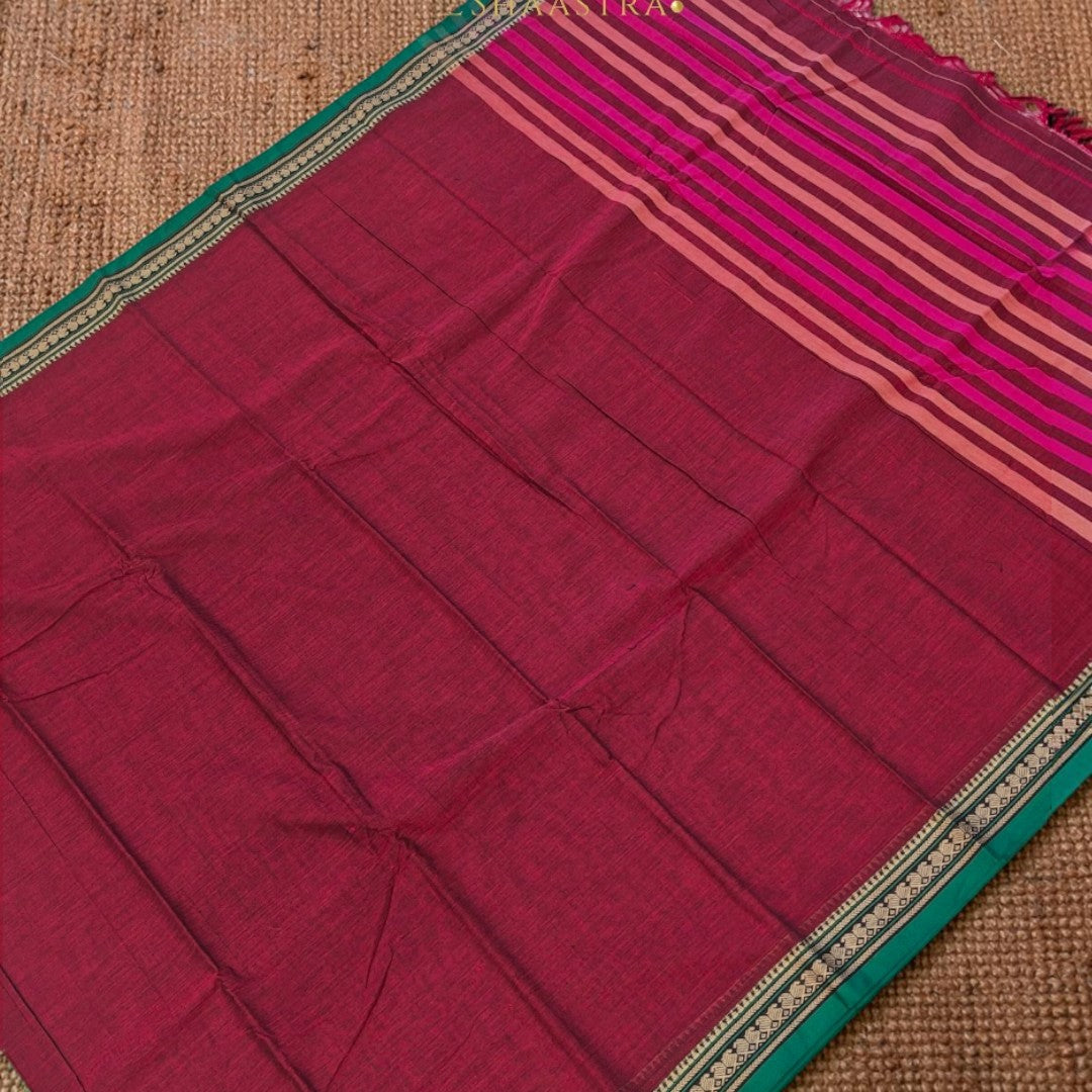 Parrot Small Border