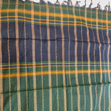 Golden Horizontal Lines in Green Saree