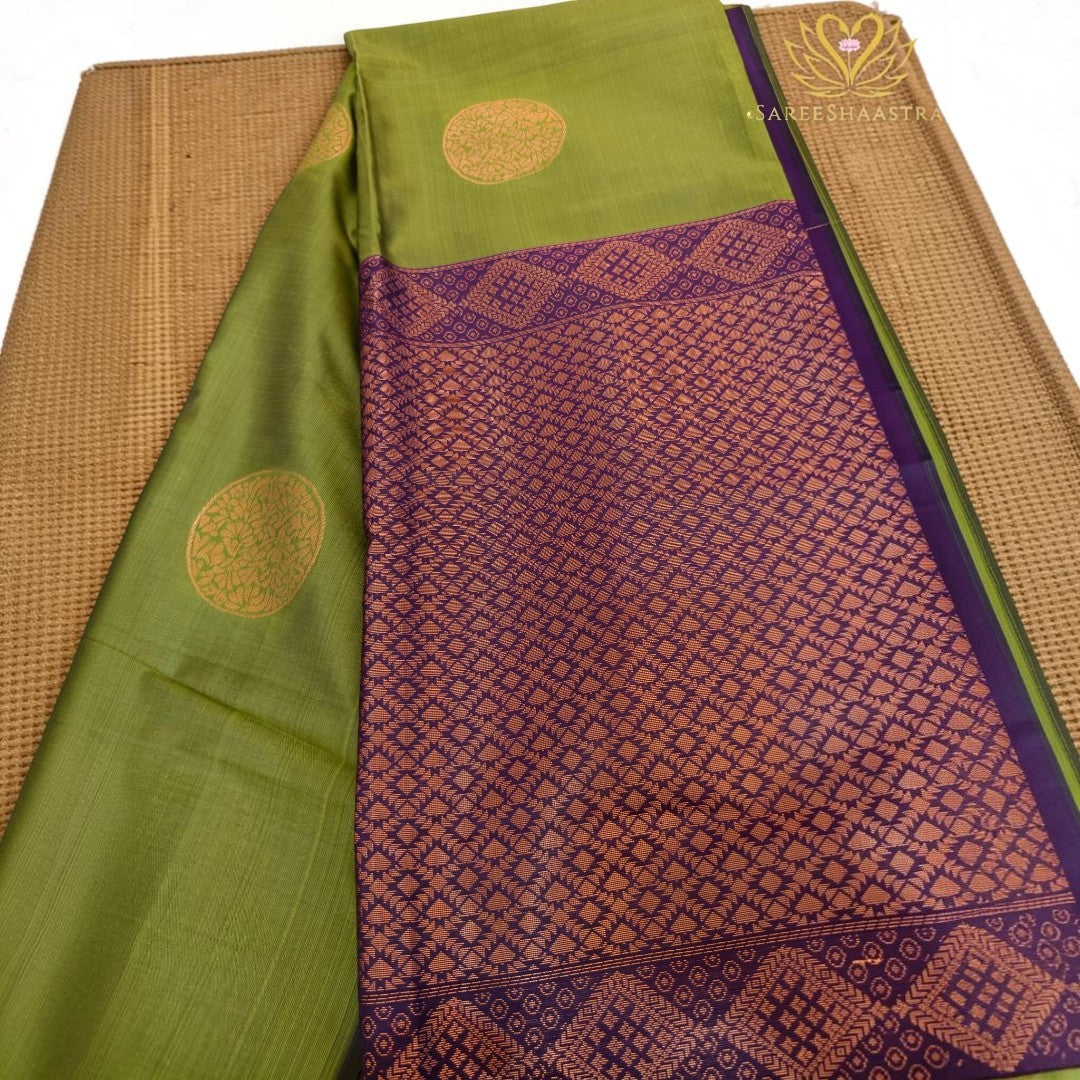 Semi Silk Saree with Woven Medallions