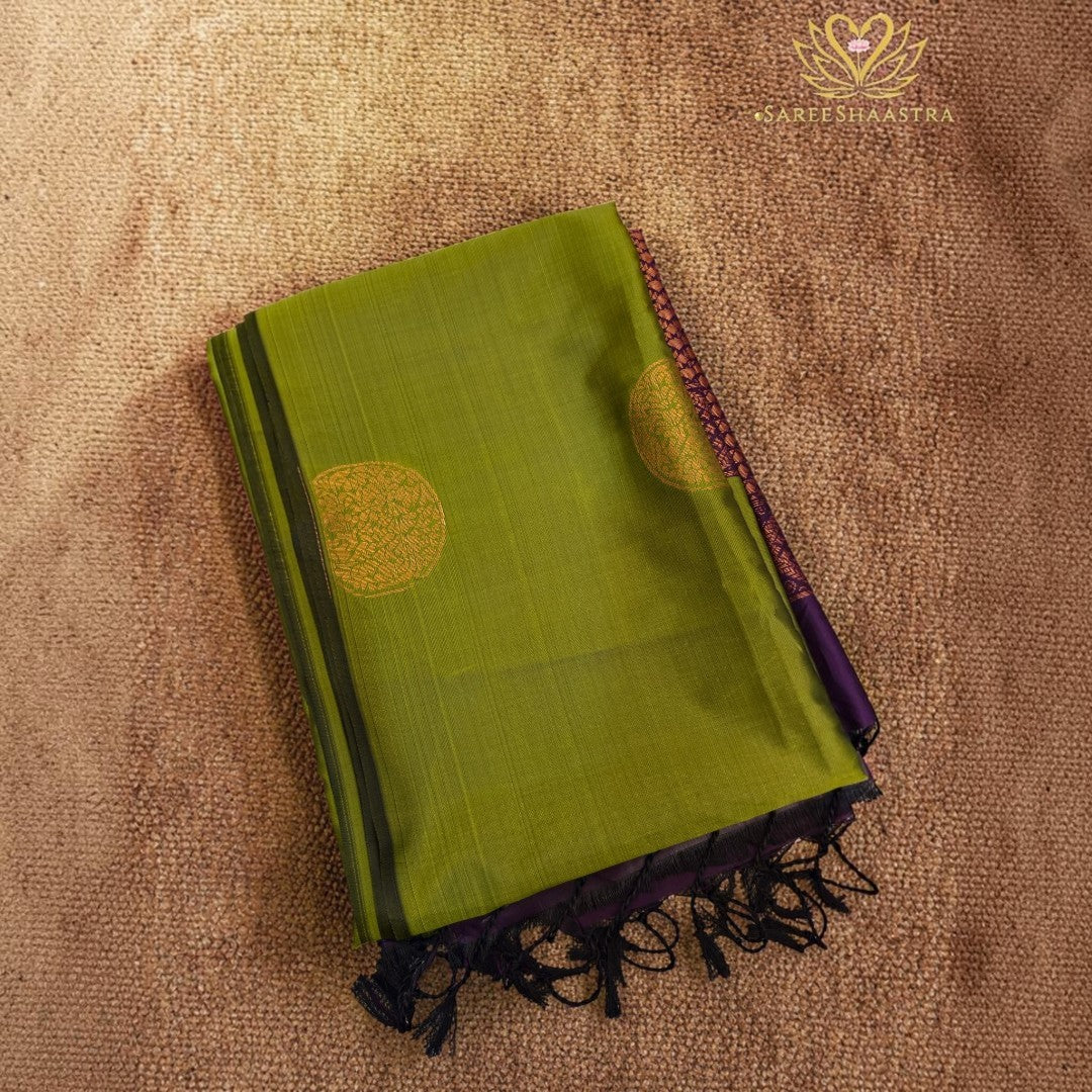 Semi Silk Saree with Woven Medallions